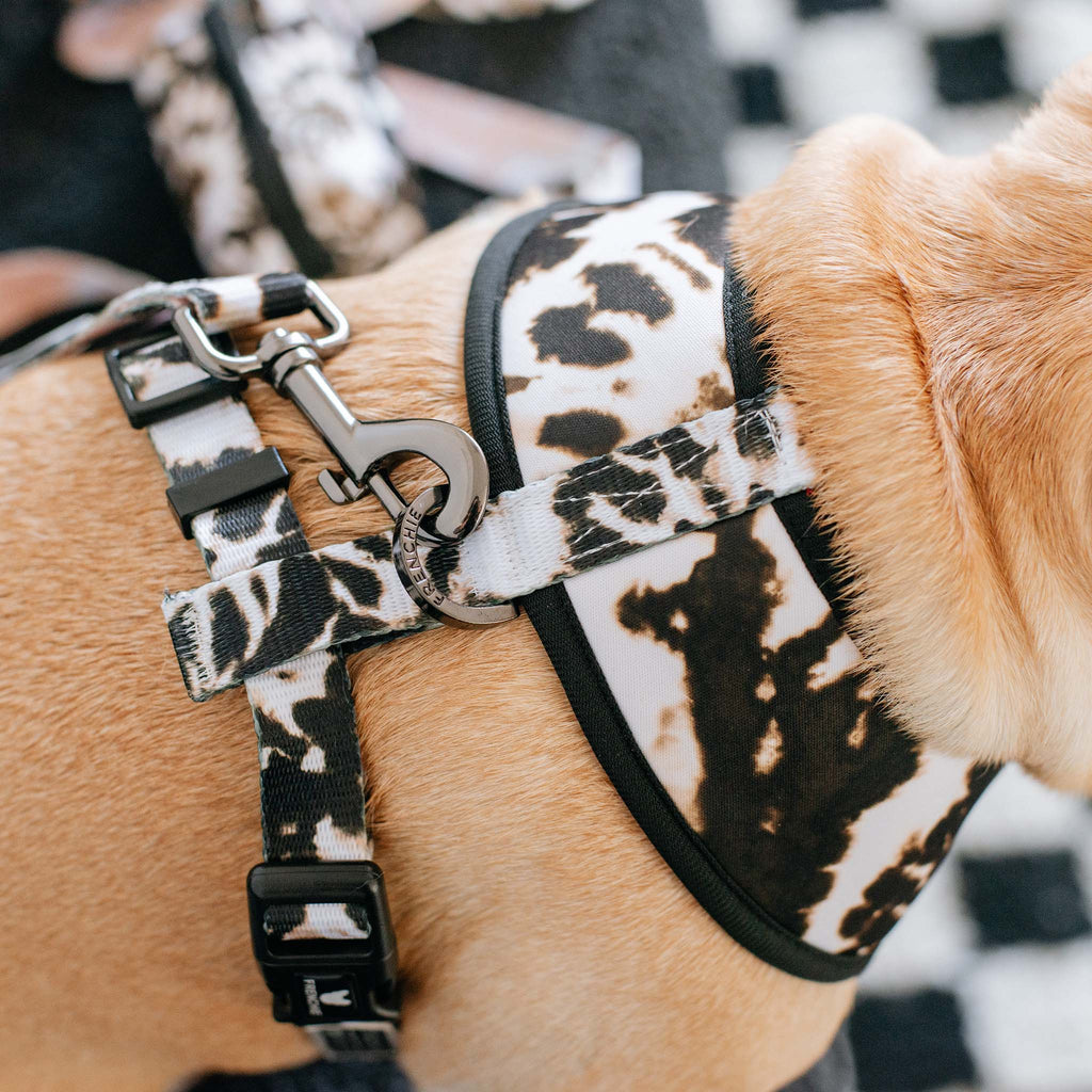 Frenchie Duo Vendbar Sele - Jordnær Tie Dye