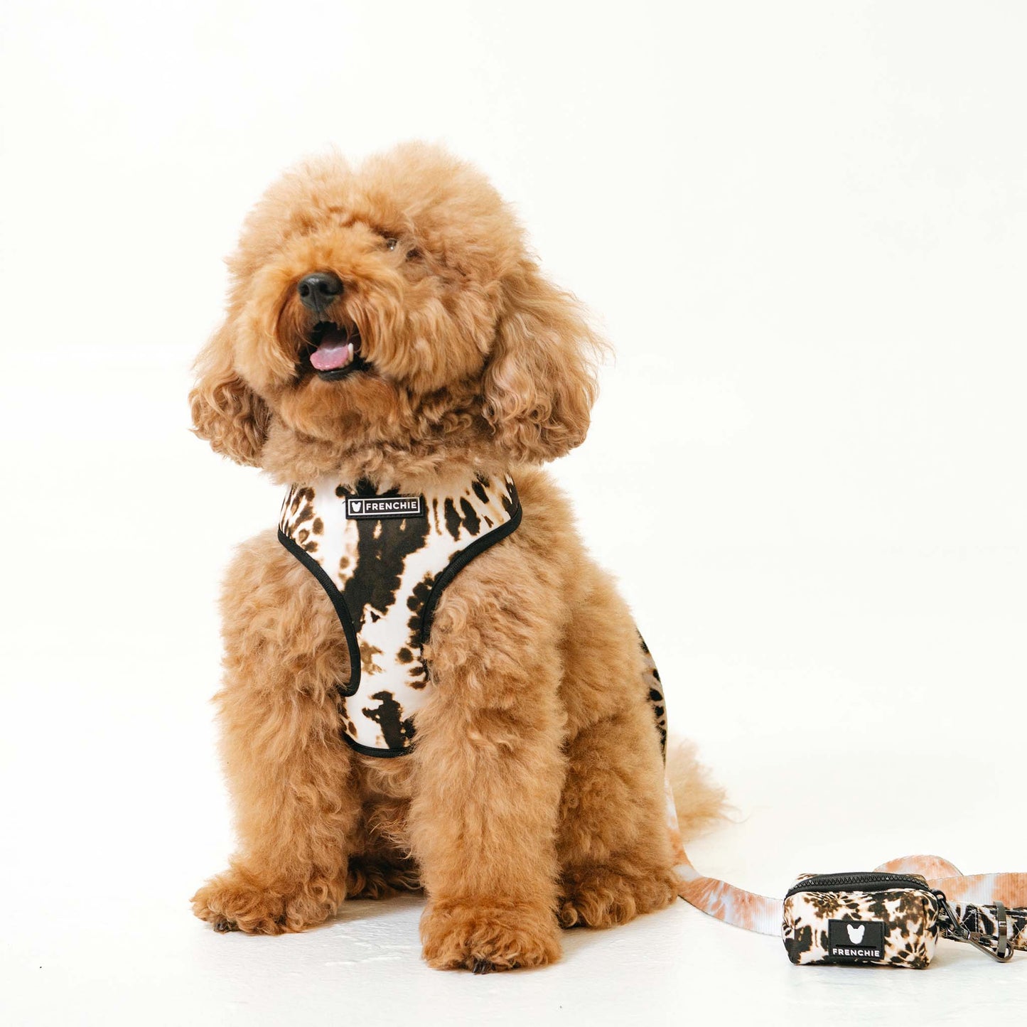 Frenchie Duo Reversible Harness - Earthy Tie Dye