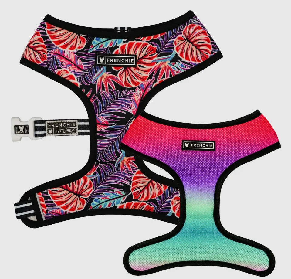 Frenchie vendbar duosele i tropiske palmer