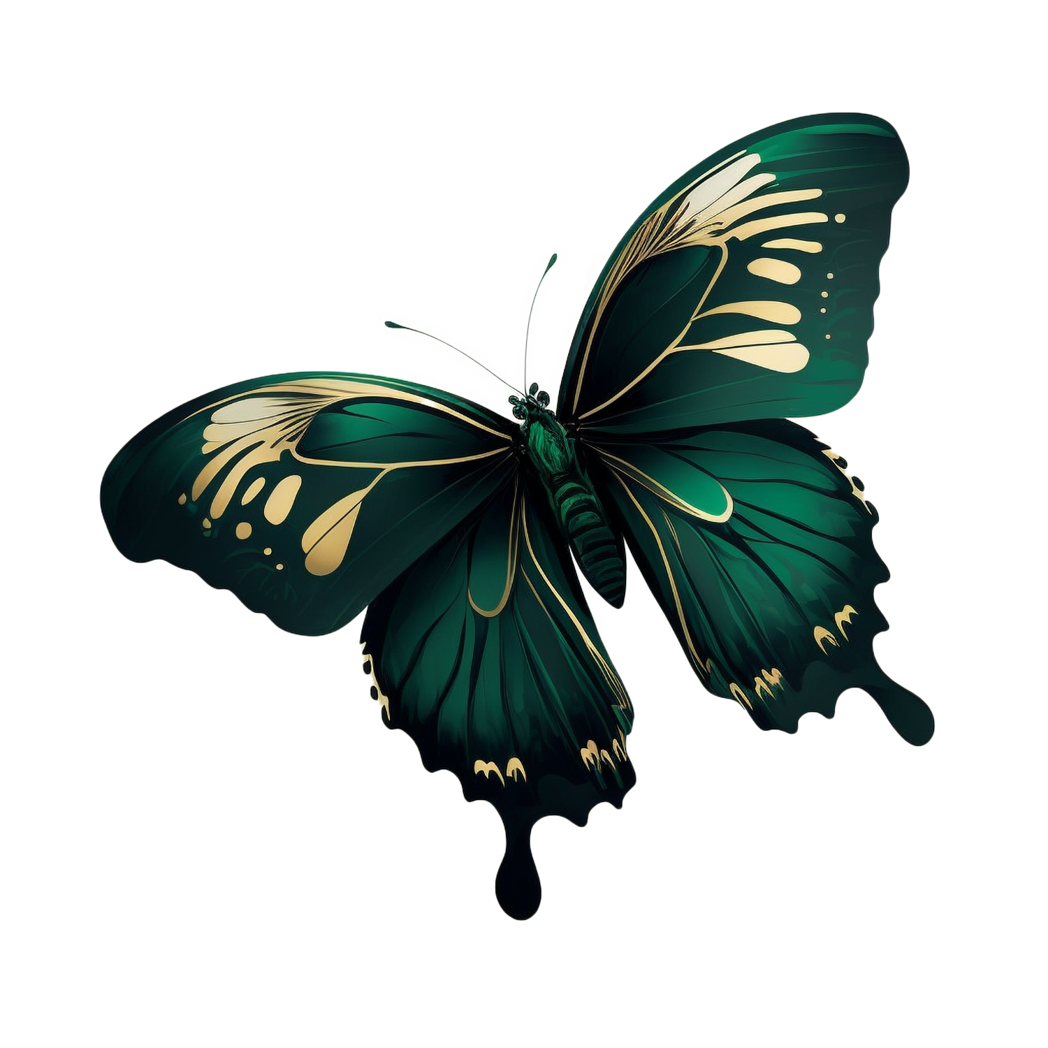 🦋 Butterfly Magnet Collection – Assorted Set of 12