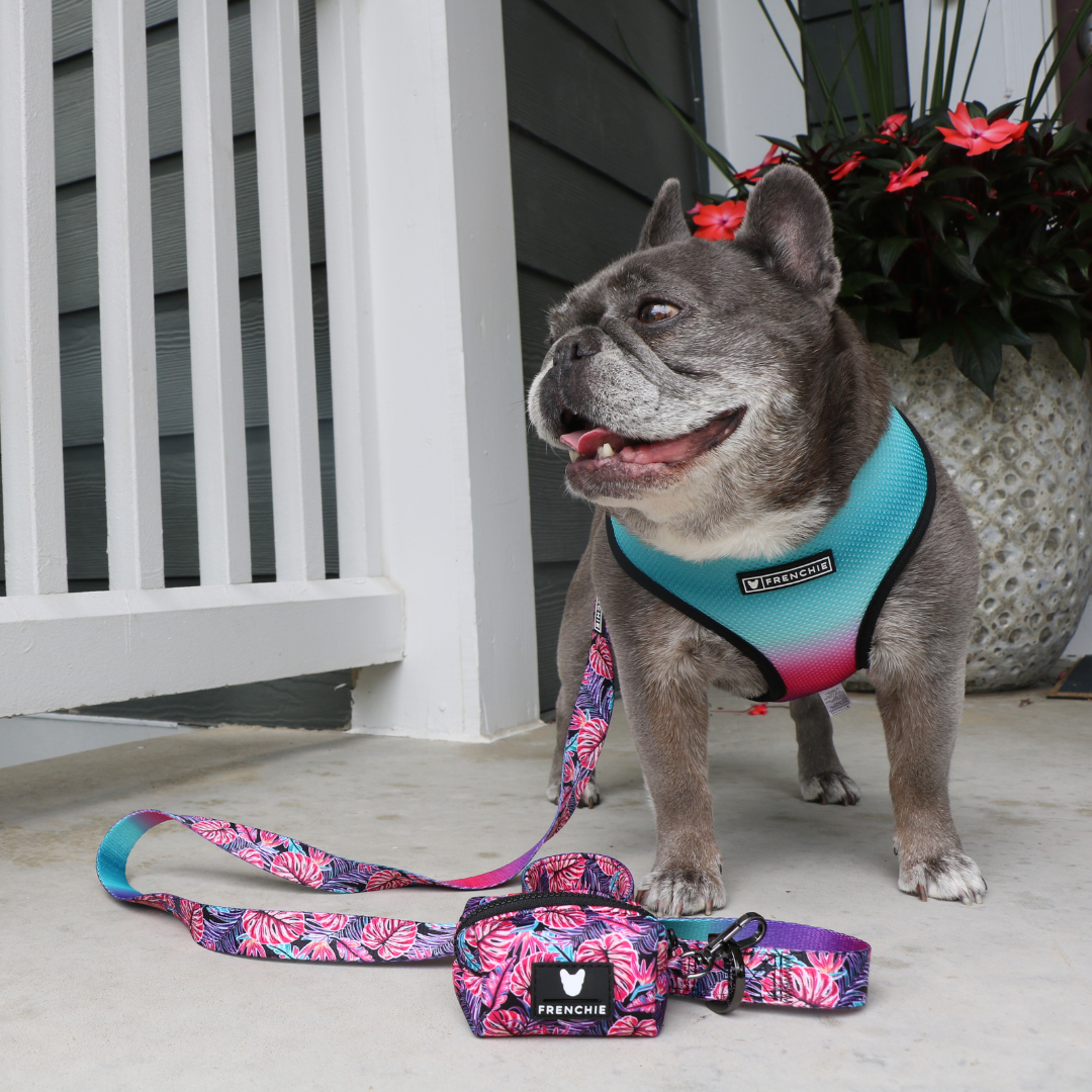 Frenchie Duo Reversible Harness - Tropical Palms
