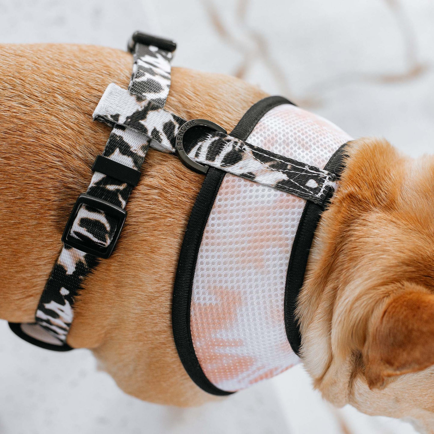 Frenchie Duo Reversible Harness - Earthy Tie Dye