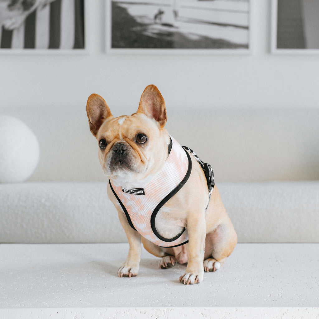 Frenchie Duo Vendbar Sele - Jordnær Tie Dye