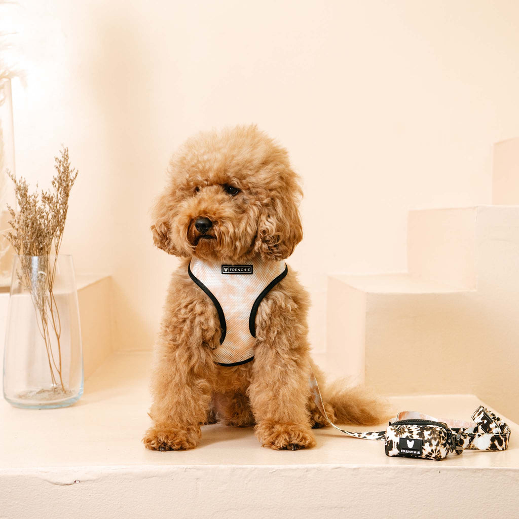 Frenchie Duo Vendbar Sele - Jordnær Tie Dye